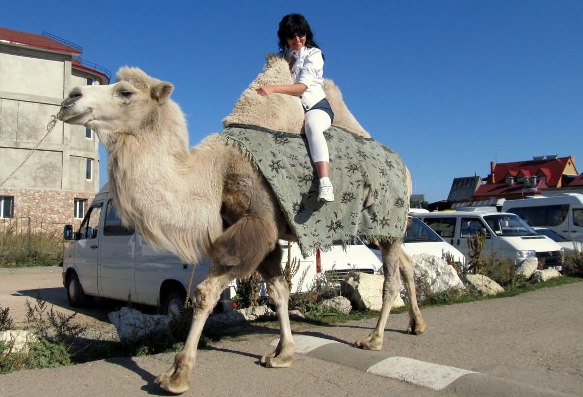 Фото: Ялта 2013 - Надія Кулик