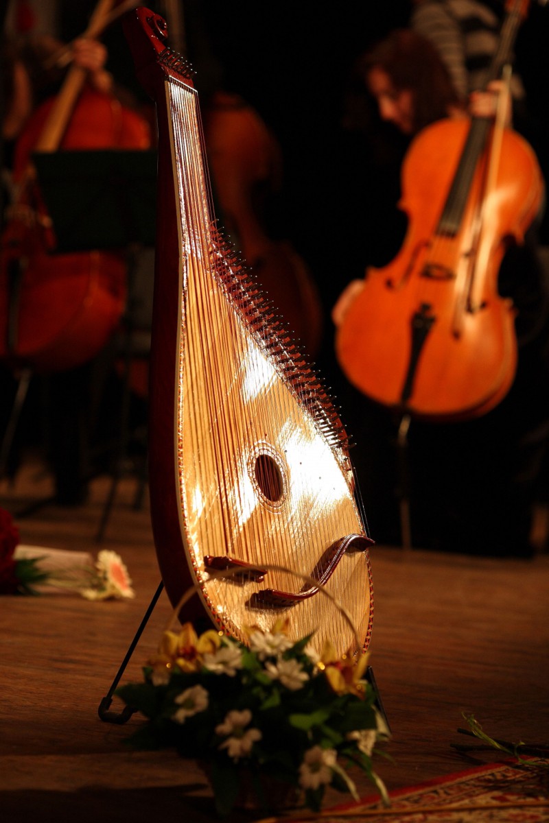 Фото: Пісня моєї душі (творчий вечір 2010) - Надія Кулик